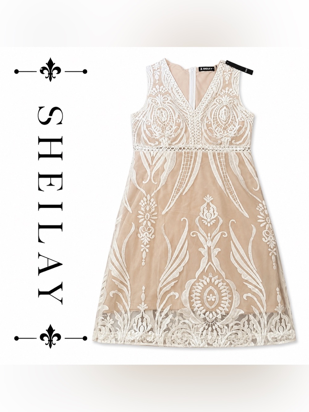 Sheilay Embroidered Mesh Overlay Dress Nude Ivory Formal Dress Elegant